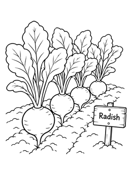 A radish coloring page showing fresh radishes growing in neat soil beside a garden sign.