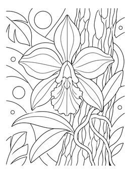 A detailed orchid blooms in this rainforest coloring page.