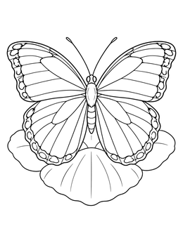 A detailed butterfly resting on flower petals in this rainforest coloring page.