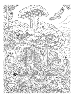 Scientists explore diverse wildlife in this detailed rainforest coloring page.