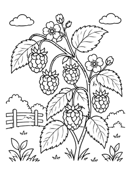Free printable Raspberry Bush With Fresh Berries coloring page