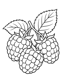 Free printable Cluster Of Ripe Raspberries coloring page