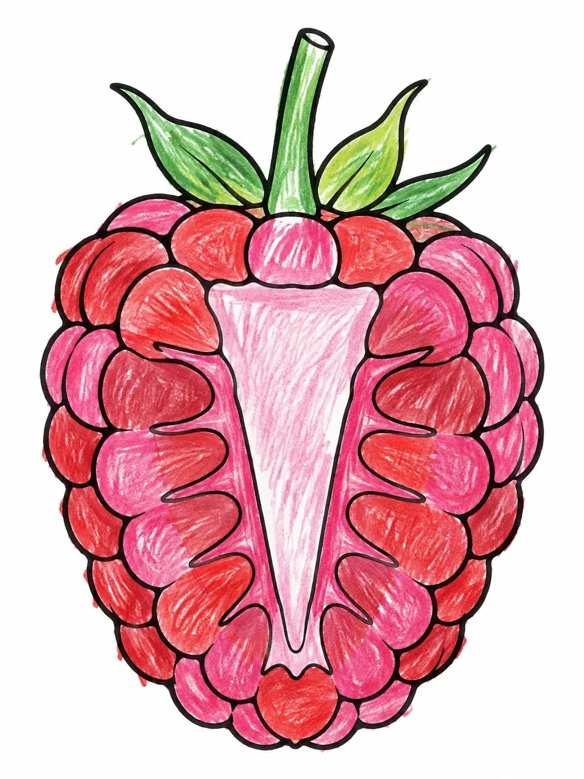 Colored example of the Raspberry Cross Section Cut coloring page