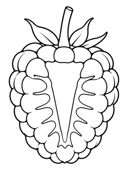 Free printable Raspberry Cross Section Cut coloring page