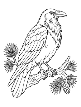 A detailed raven coloring page showing the bird perched on a pine branch with needles and a cone.
