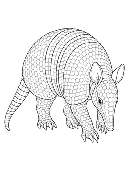 Detailed armadillo coloring page showing the animal walking forward with its snout near the ground.