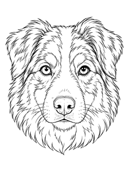 Free printable Realistic Australian Shepherd Dog Portrait coloring page