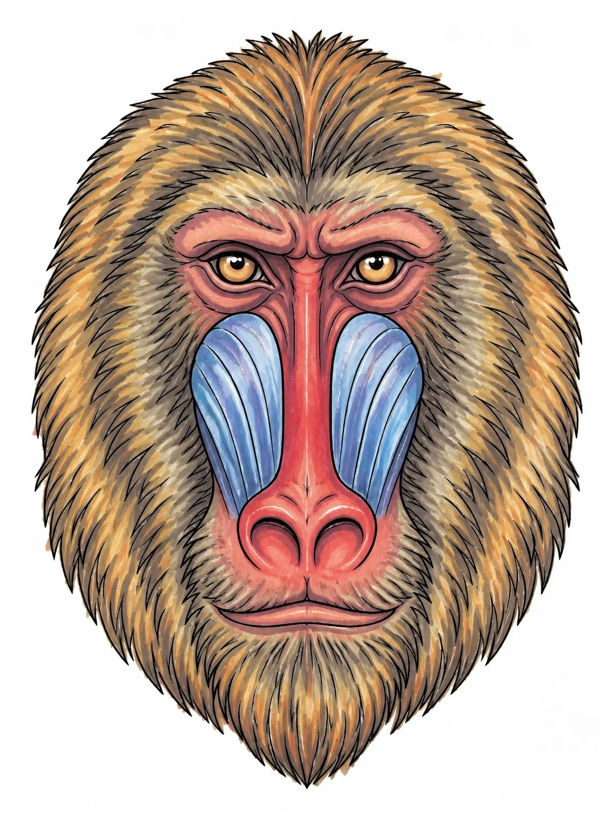 Colored example of the Realistic Baboon Face Portrait coloring page