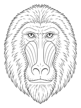 A detailed baboon coloring page showing a close-up portrait of the animal's face.