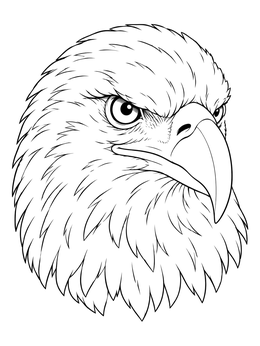 Detailed bald eagle coloring page showing a close-up head portrait.