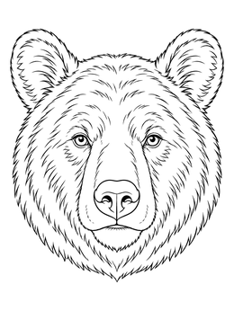 Detailed black bear coloring page featuring a front-facing portrait with fur textures.