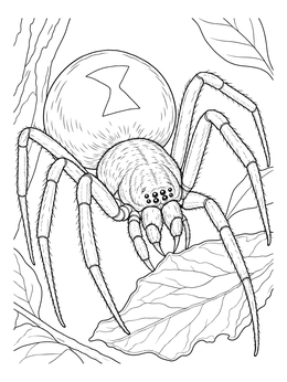 A realistic black widow spider coloring page showing the hourglass marking and legs resting on foliage.