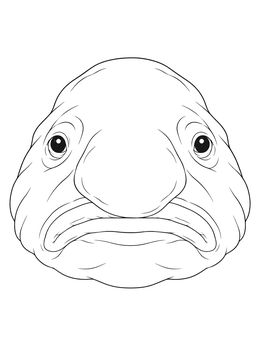 A detailed blobfish coloring page showing a close-up frontal view with expressive features.