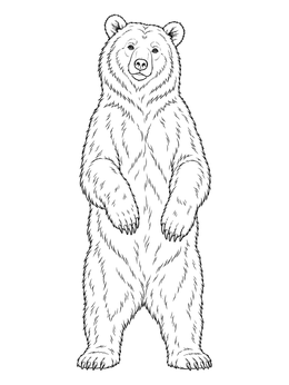 A detailed brown bear coloring page featuring a realistic bear standing upright on its hind legs.