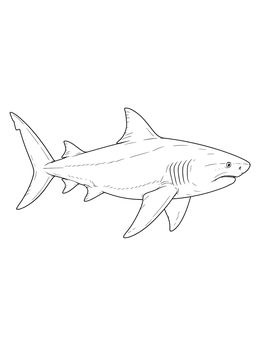 A detailed bull shark coloring page featuring a side view of the predator swimming forward.