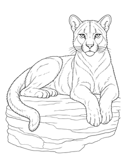 Free printable Realistic Cougar Resting On A Rock coloring page