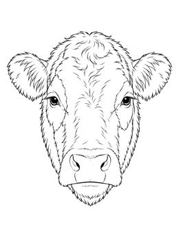 A detailed cow coloring page featuring a front-facing portrait of a cow.