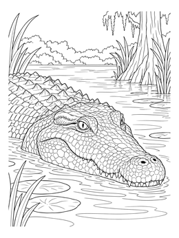 A detailed crocodile coloring page showing the reptile resting in swamp waters.