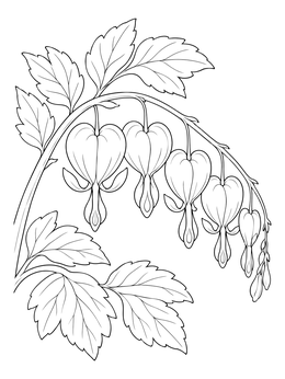 Free printable Blooming Bleeding Heart Branch coloring page
