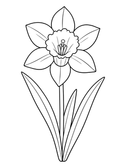 Free printable Blooming Daffodil With Long Leaves coloring page