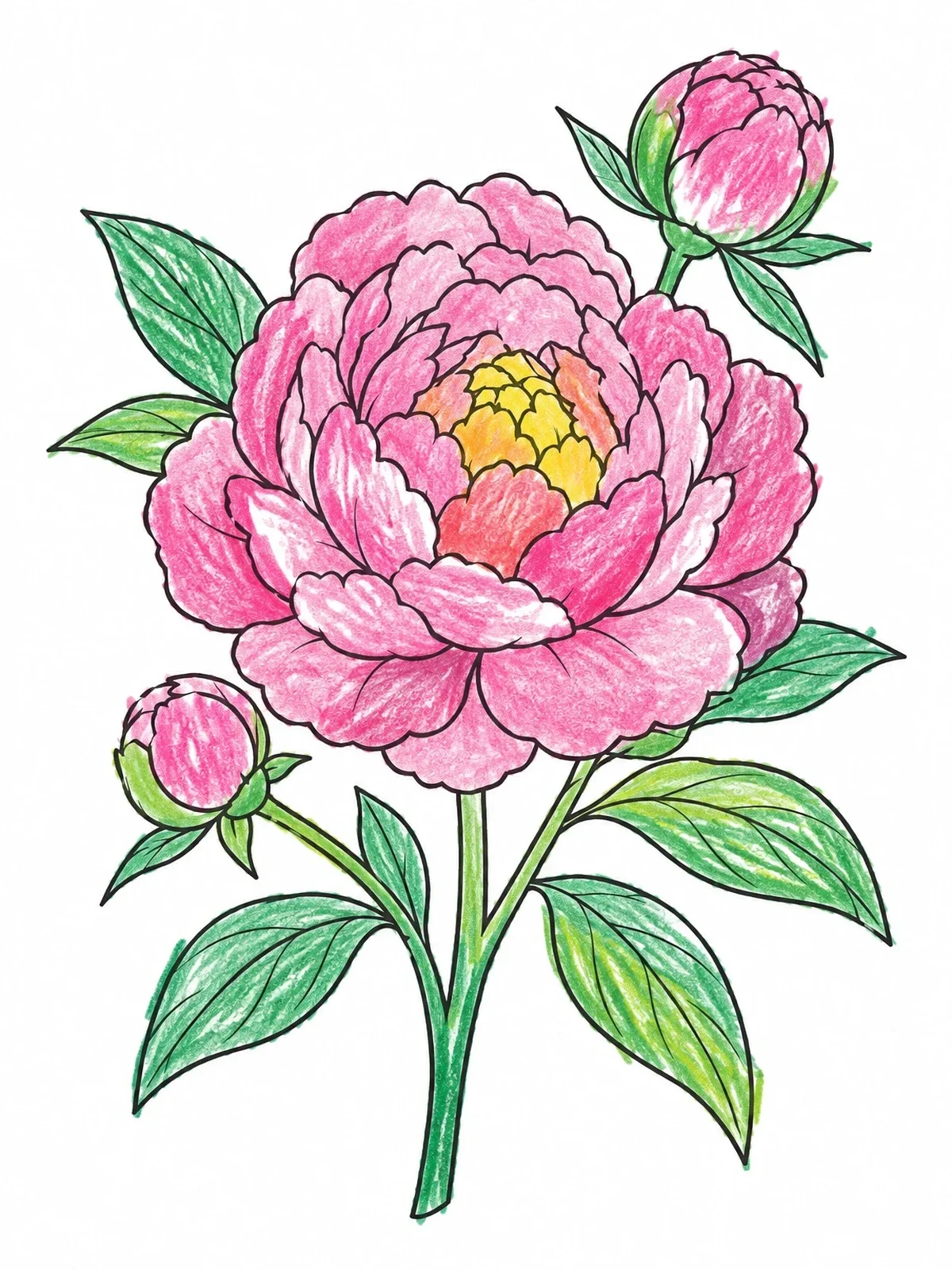 Colored example of the Blooming Peony With Buds coloring page
