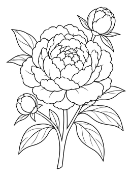 Free printable Blooming Peony With Buds coloring page
