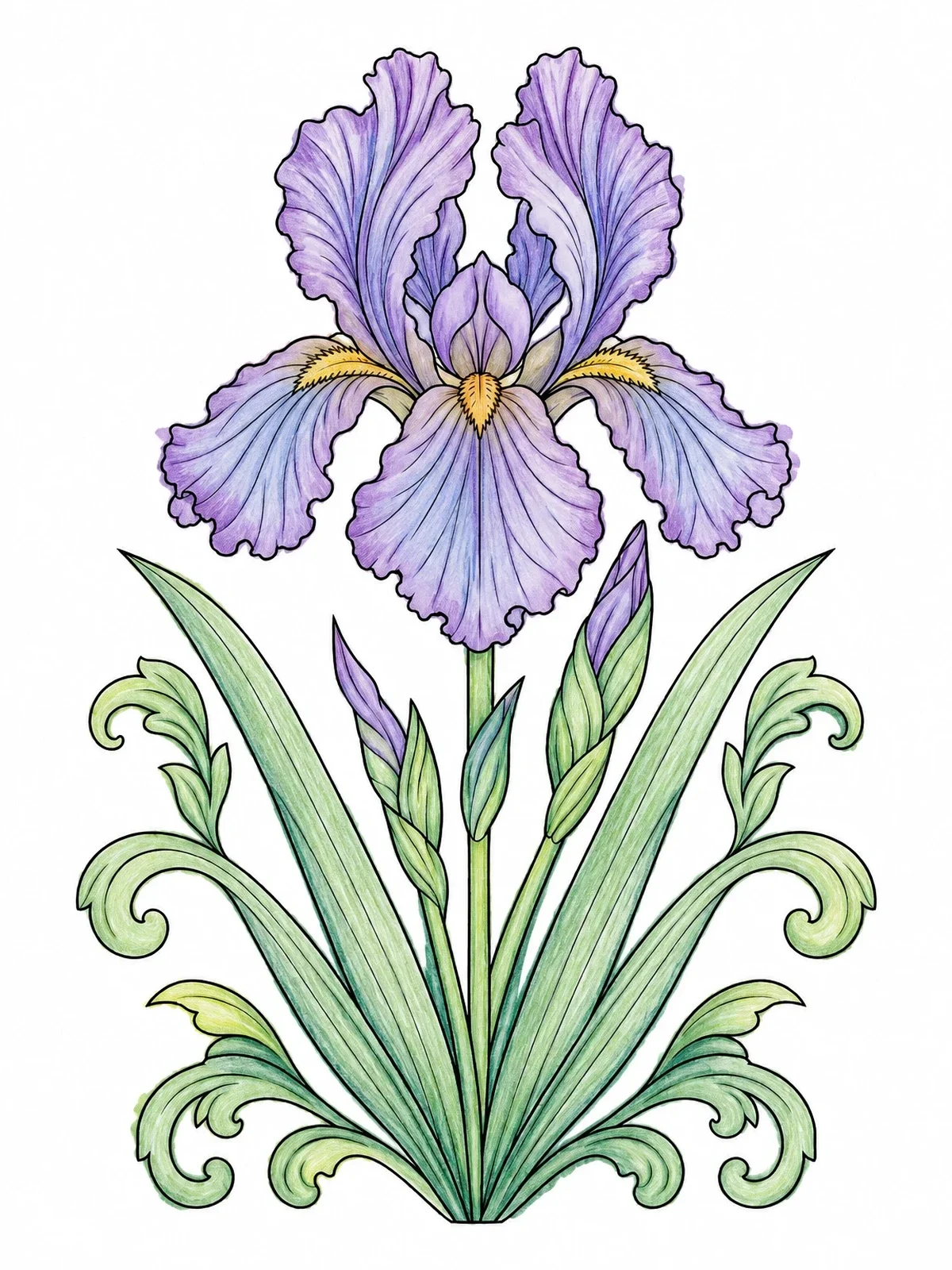 Colored example of the Detailed Bearded Iris Blossom coloring page