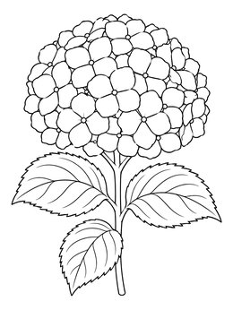 Free printable Detailed Hydrangea Bloom And Leaves coloring page