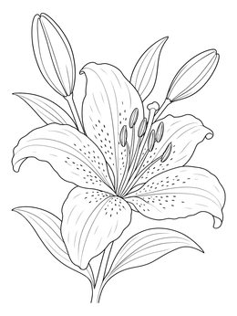 Free printable Detailed Lily In Full Bloom coloring page