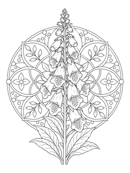 A realistic flowers coloring page featuring a blooming foxglove stalk centered inside an intricate mandala.
