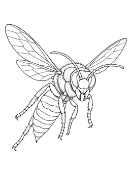 A detailed hornet coloring page showing the insect flying with spread wings.