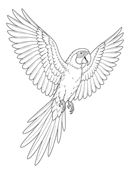 A detailed parrot coloring page featuring a macaw flying with wings wide open.
