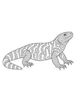 Detailed gila monster coloring page showing a beaded lizard in side profile.