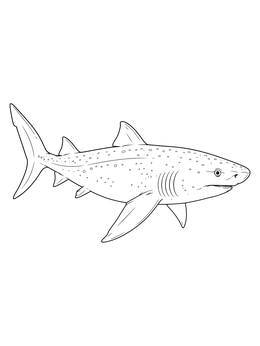 A detailed shark coloring page showing a speckled deep sea shark gliding smoothly.