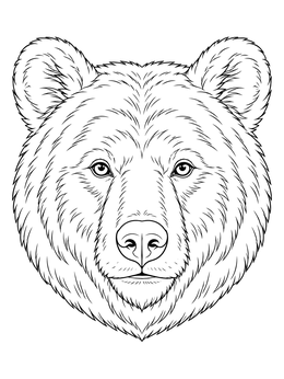 A detailed bear coloring page showing a front view of a grizzly bear head.