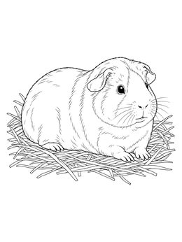 Free printable Realistic Guinea Pig Resting In Hay coloring page