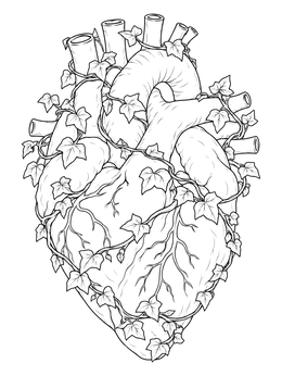 Free printable Anatomical Heart With Ivy Vines coloring page