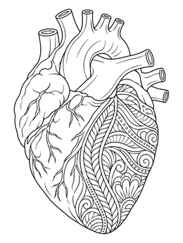 Anatomical realistic heart coloring page detailed with ornate floral and swirl patterns.