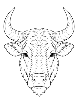 Detailed bull coloring page showing a majestic horned head portrait.