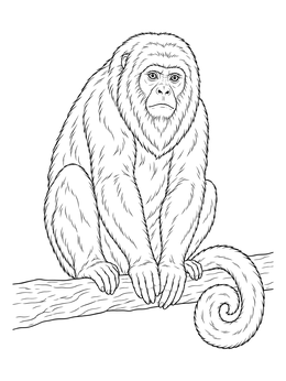 Detailed howler monkey coloring page sitting perched on a tree branch.