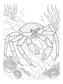 Detailed crab coloring page showing a spiny king crab perched on rocks with sea anemones.