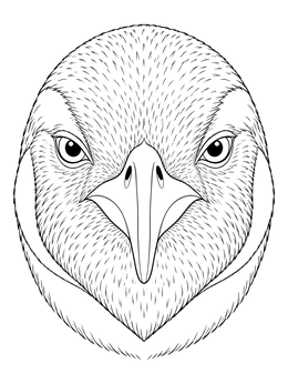 Detailed king penguin coloring page featuring a front portrait of the bird's face.
