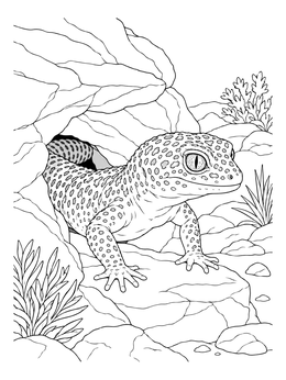 A detailed leopard gecko coloring page showing the reptile stepping out of a rocky crevice into the sunlight.
