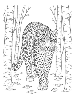 Free printable Realistic Leopard In Birch Forest coloring page