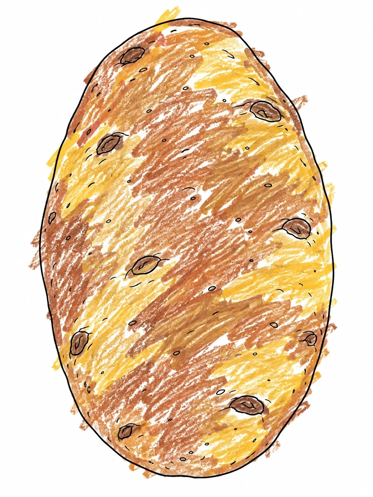 Colored example of the Realistic Oval Russet Potato coloring page