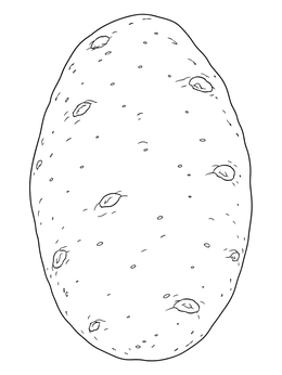 A simple potato coloring page featuring a realistic oval russet potato with small eyes.