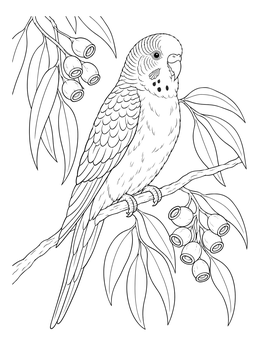 Free printable Realistic Parakeet On Eucalyptus Branch coloring page