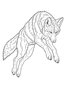 Free printable Realistic Pouncing Coyote coloring page