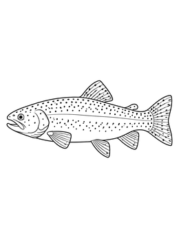 A detailed trout coloring page showing a spotted rainbow trout in full side profile.