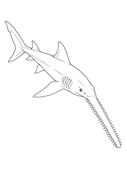 Detailed sawshark coloring page showing its long toothed snout and streamlined body.